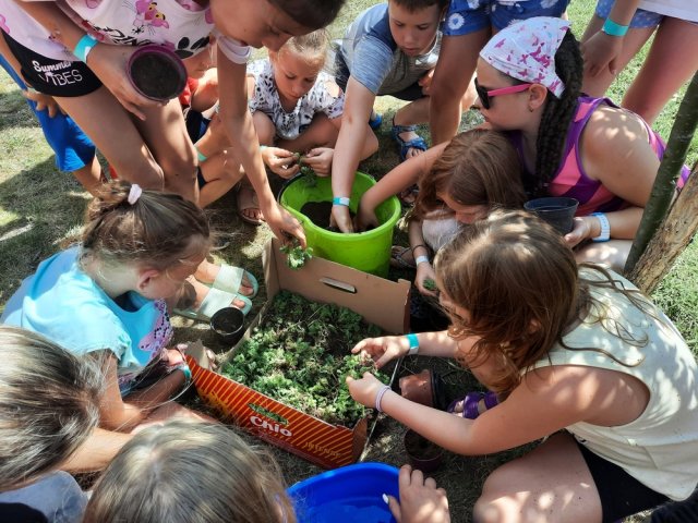 Aspects of being European - 2021